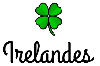 Curso academico en Irlanda