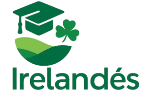 Transition year en irlanda 2026